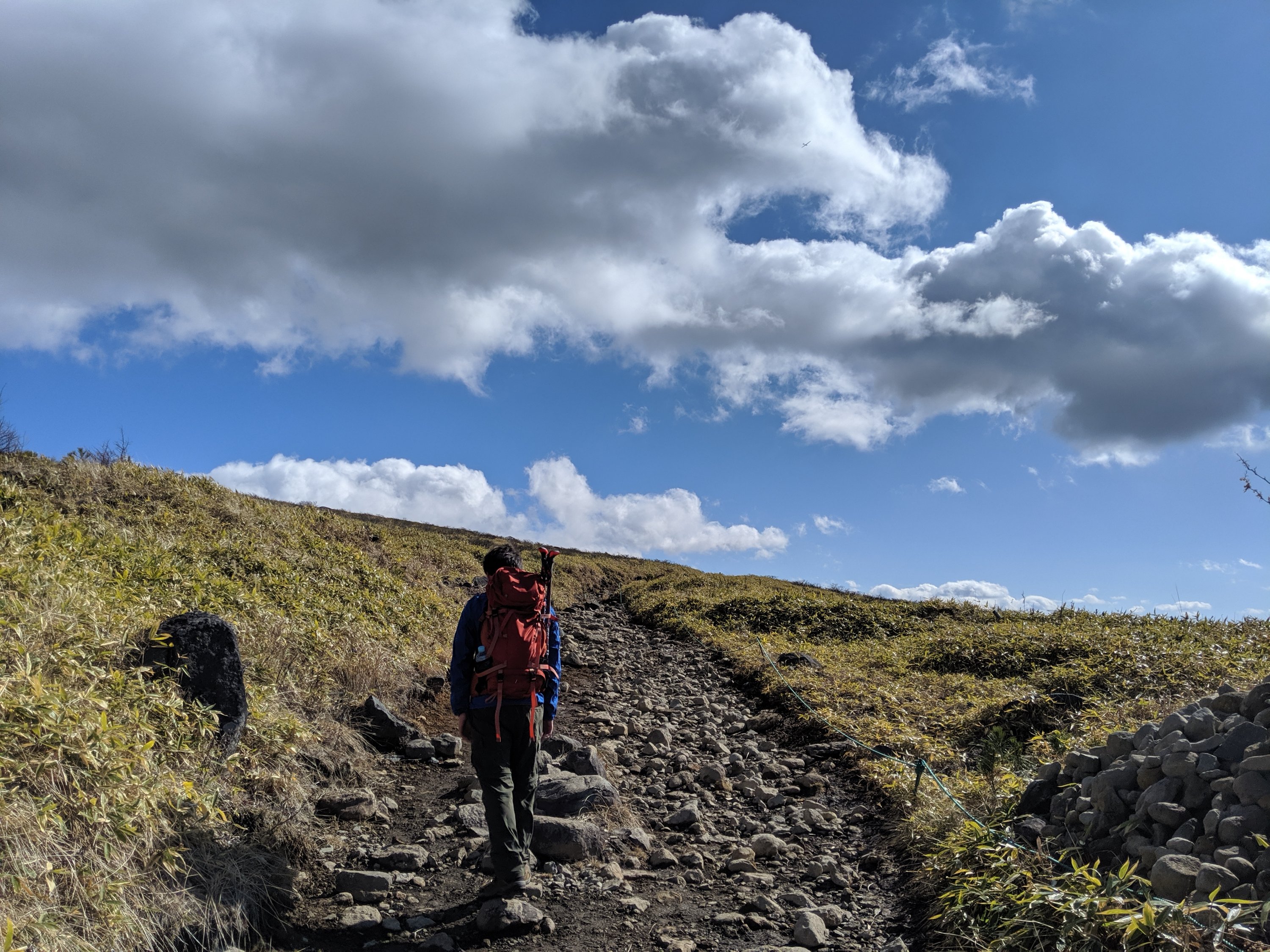 日本百名山 花の山 霧ヶ峰 でハイキングしてきた アクセス コースを紹介 Tacolog たころぐ